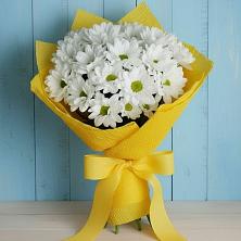 Букет цветов из:  Хризантемы в Рамешках