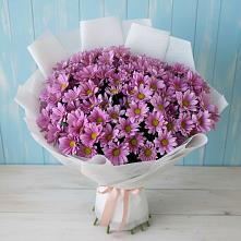 Букет цветов из:  Хризантемы в Рамешках