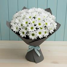 Букет цветов из:  Хризантемы в Рамешках