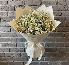 Букет цветов из:  Ромашки в Рамешках