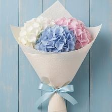 Букет цветов из:  Гортензия в Рамешках