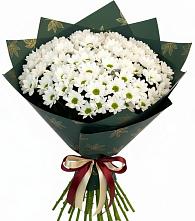 Букет цветов из:  Хризантемы в Рамешках