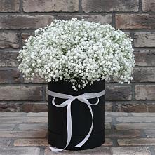 Цветочная композиция из Гипсофила в шляпной коробке в Рамешках