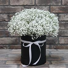 Цветочная композиция из Гипсофила в шляпной коробке в Рамешках