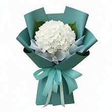 Букет цветов из:  Гортензия в Рамешках